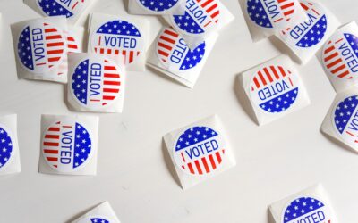 HELP WITH ELECTION INTEGRITY IN THE 2022 ELECTIONS