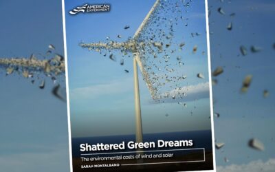 New Report Challenges Assumptions About ‘Green Energy’
