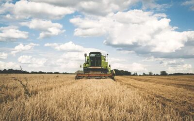 Star Tribune’s “Greater Minnesota” correspondent travels to rural area and is shocked to witness farming