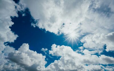 New, updated climate action plan!