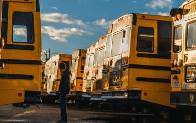 Minnesota open enrollment participation among nation’s highest