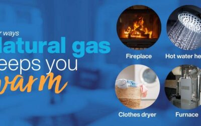 Hands off my gas! The plan to ban natural gas