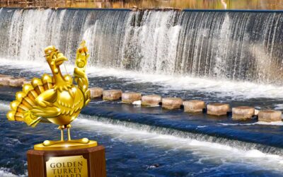 Bummer, dude! Judge kills funding for Golden Turkey surfing project
