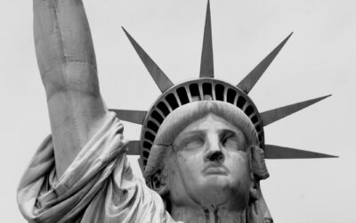 The new face of immigration